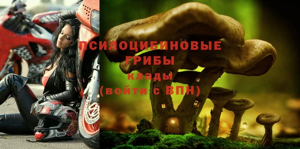 марки lsd Алексеевка