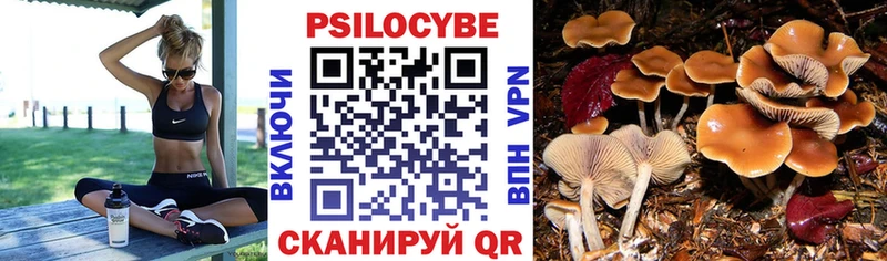 Галлюциногенные грибы мухоморы маркетплейс как зайти Дмитриев KRAKEN рабочий сайт
